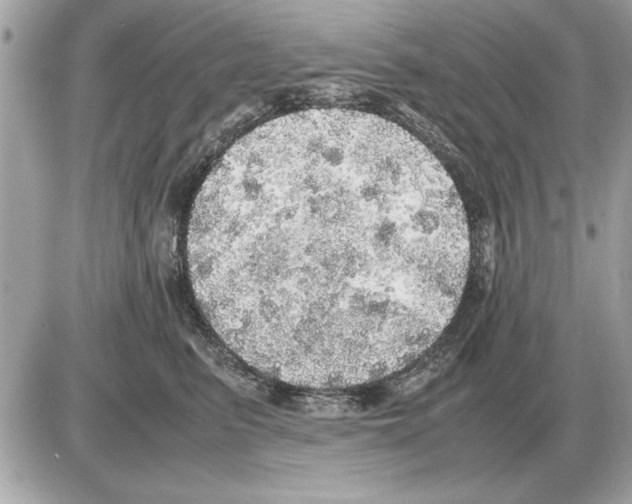 X0000085270615200704092142