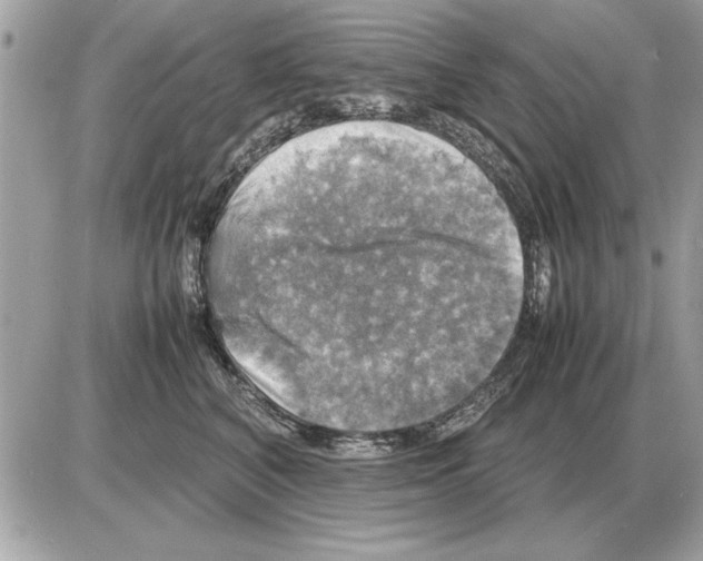 X0000085270616200704092142