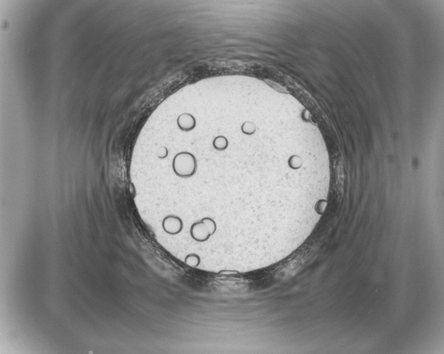 X0000085270617200704092142