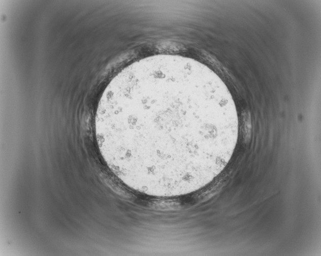 X0000085270619200704092141