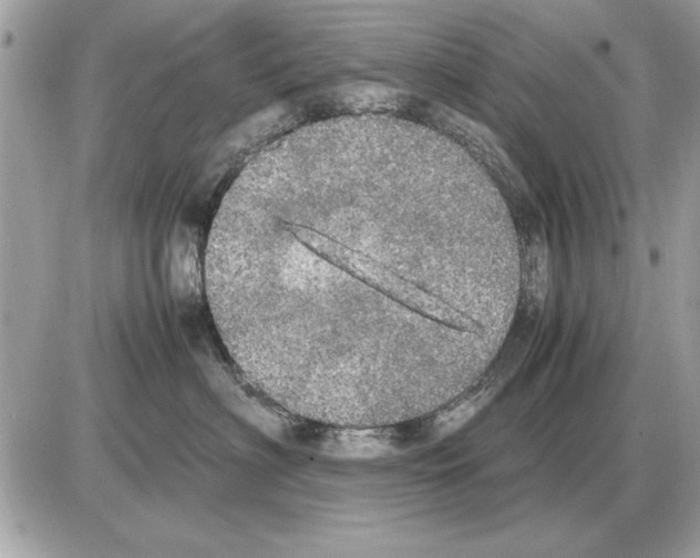 X0000085270622200704092141