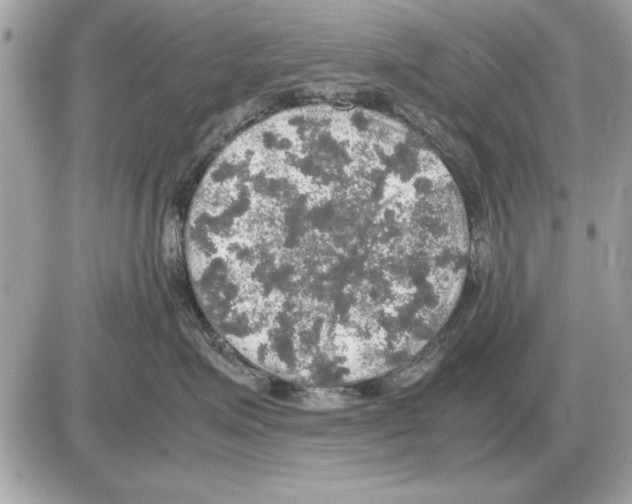 X0000085270623200704092141