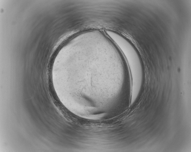 X0000085270626200704092141