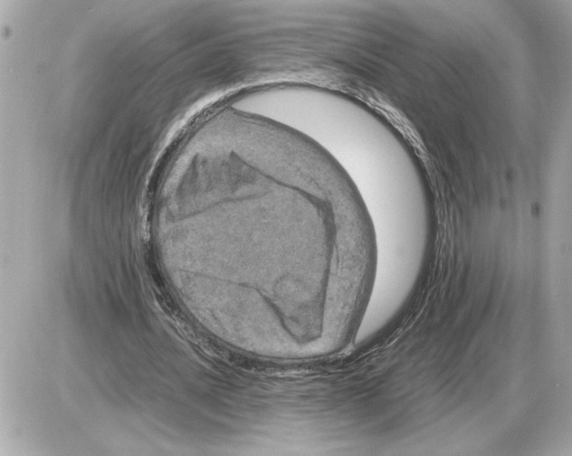 X0000085270628200704092141