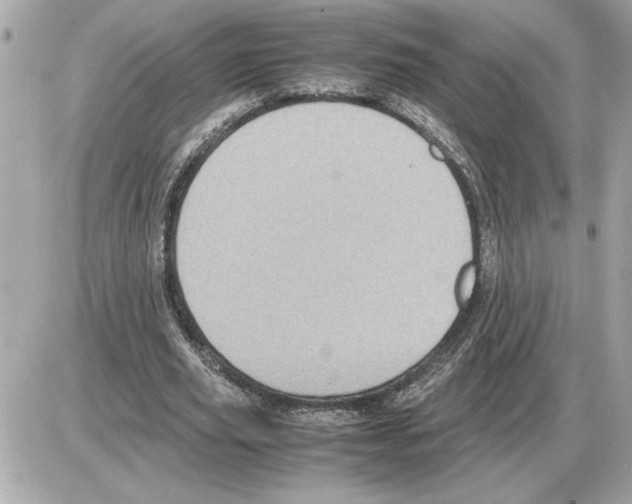 X0000085270629200704092141