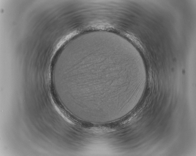 X0000085270630200704092141