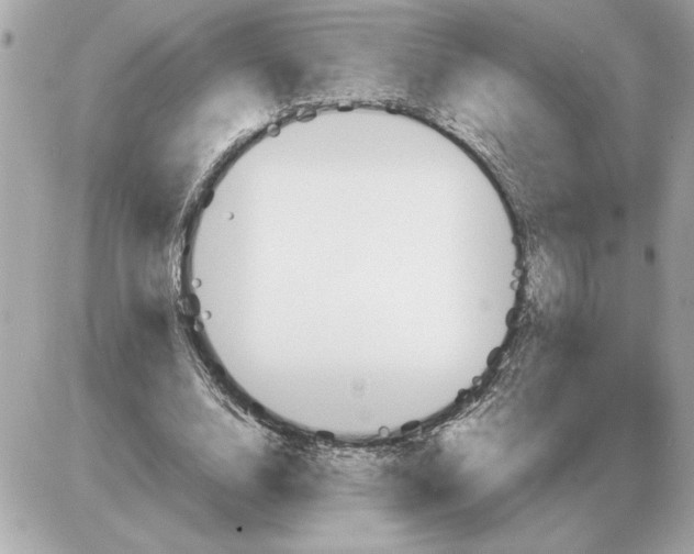 X0000085270632200704092141