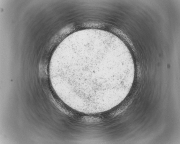 X0000085270633200704092141