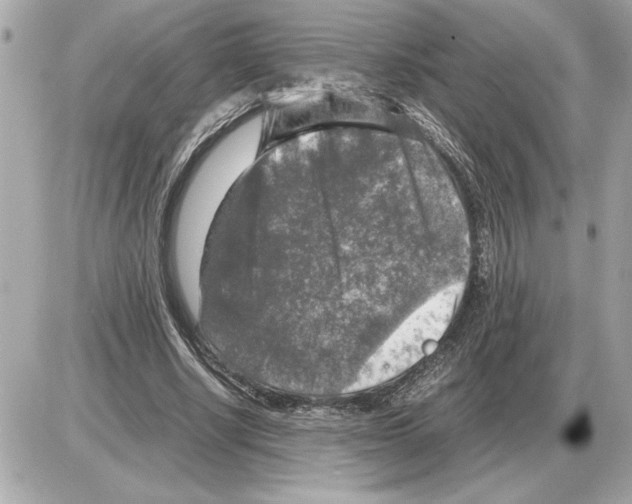 X0000085270634200704092141