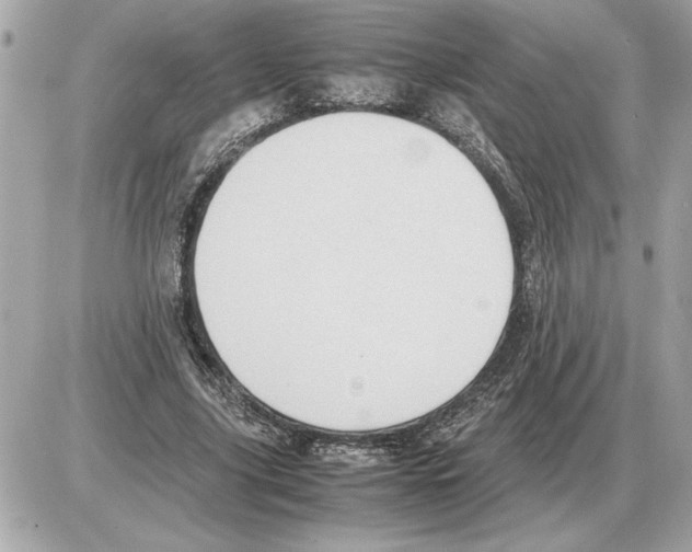 X0000085270635200704092141