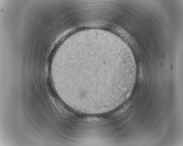 X0000085270636200704092141