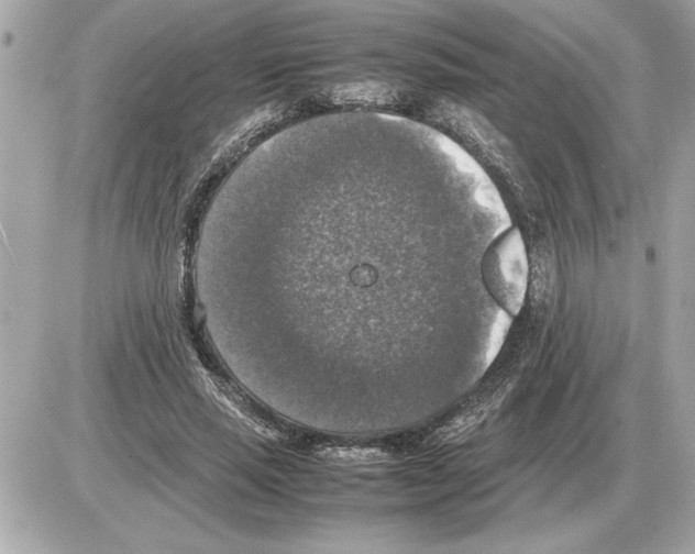 X0000085270637200704092141