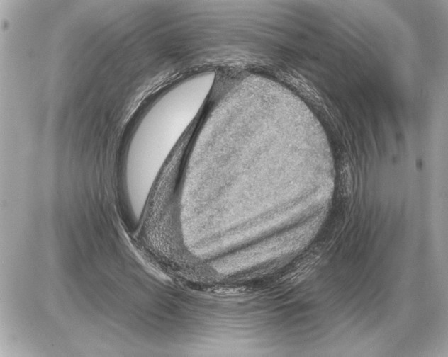 X0000085270638200704092141