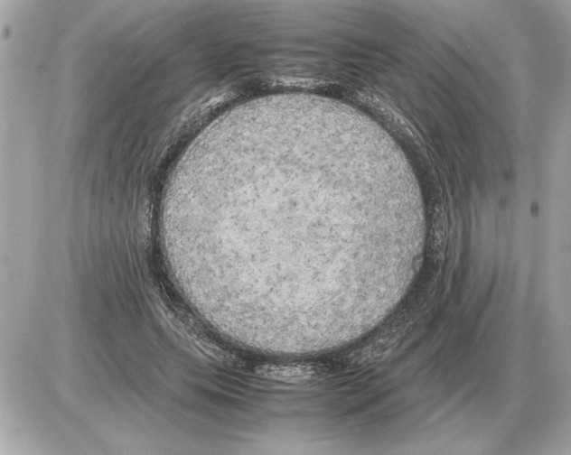 X0000085270639200704092141