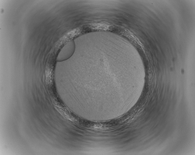 X0000085270641200704092141