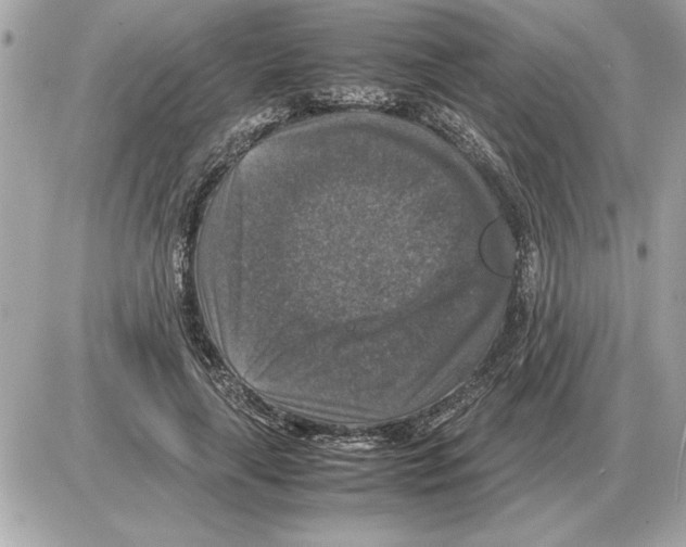 X0000085270643200704092141