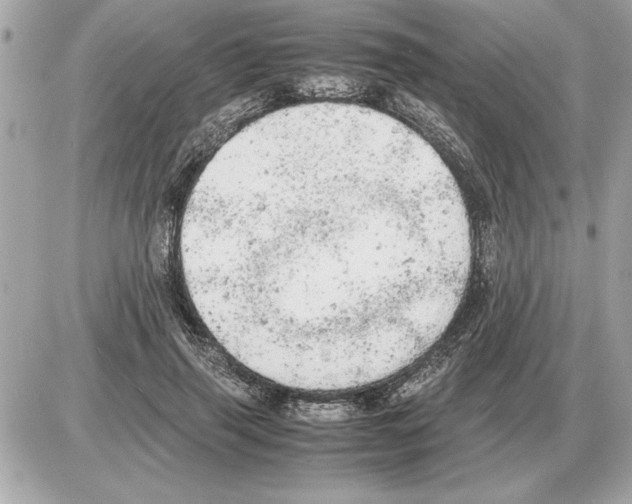 X0000085270645200704092141