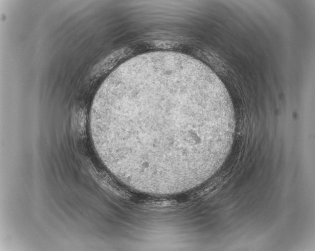 X0000085270646200704092141