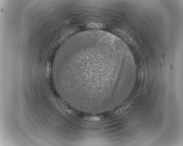 X0000085270647200704092141