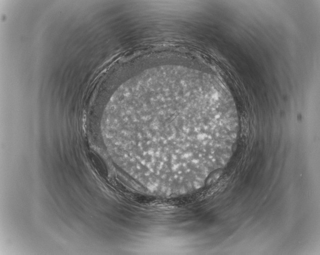 X0000085270648200704092141