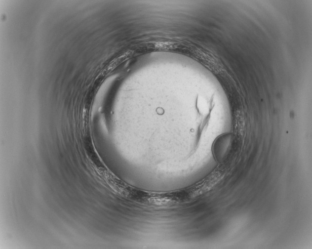 X0000085270650200704092141