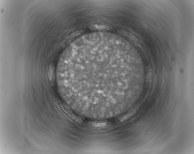 X0000085270651200704092141