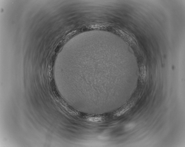 X0000085270653200704092141