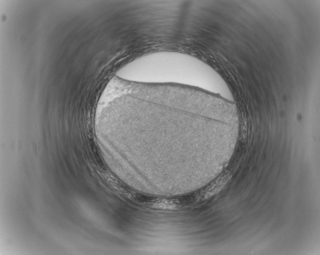 X0000085270656200704092141