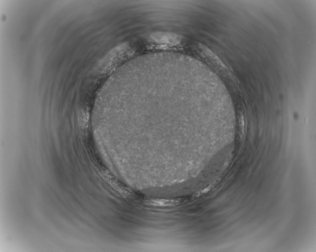 X0000085270657200704092141