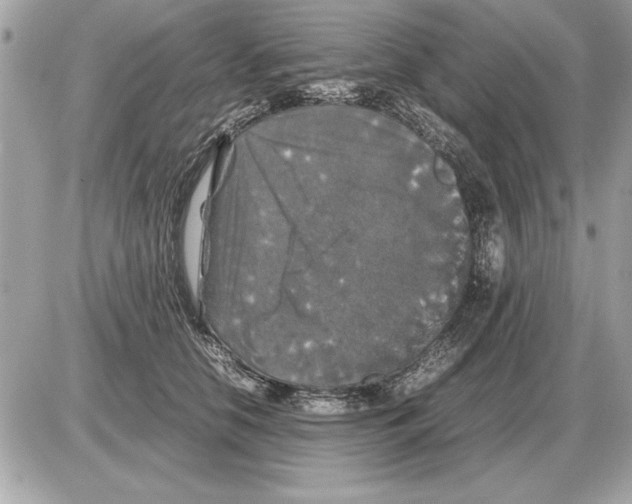 X0000085270658200704092141