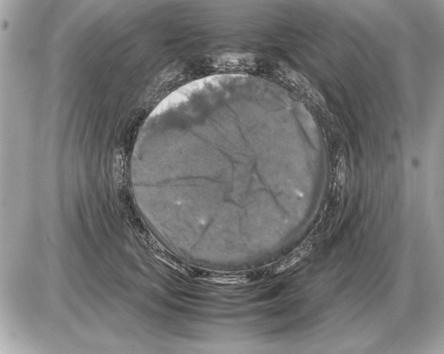 X0000085270659200704092141