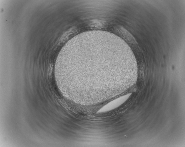 X0000085270660200704092141