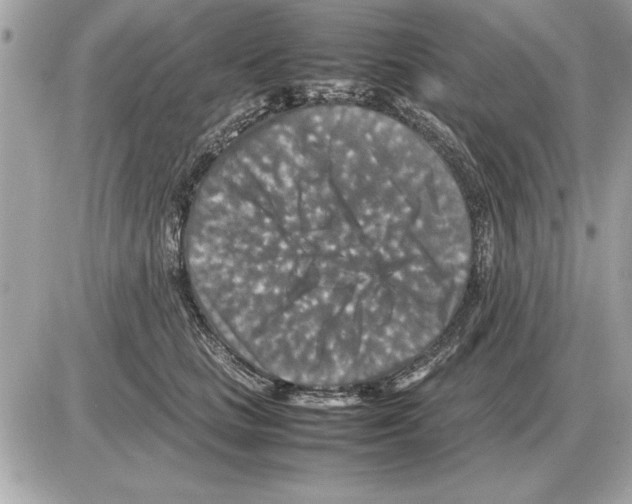 X0000085270661200704092141