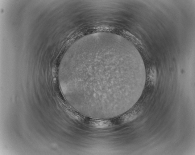 X0000085270663200704092141