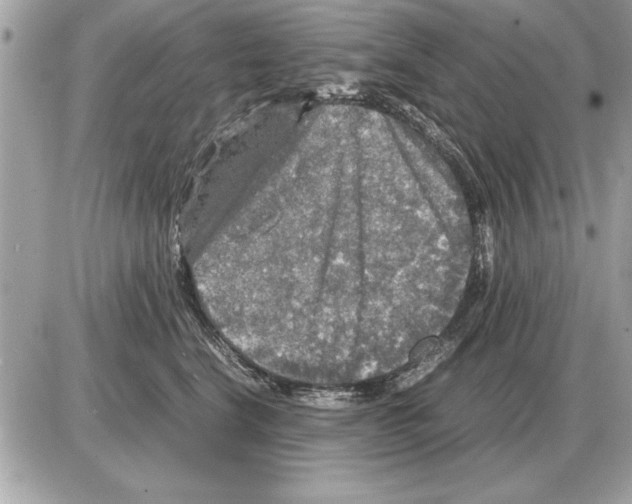 X0000085270664200704092141