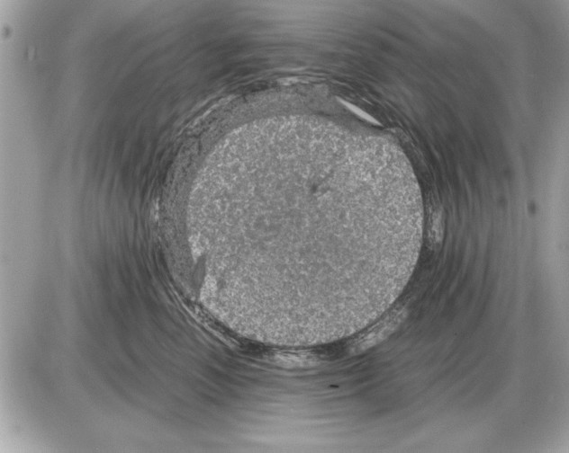 X0000085270666200704092141