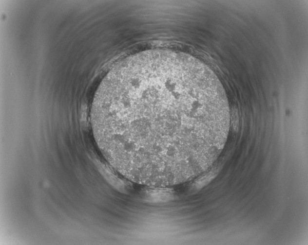 X0000085270670200704092141