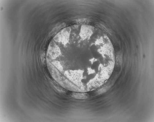 X0000085270671200704092141