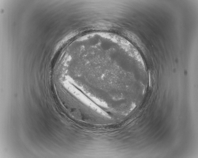 X0000085270675200704092141