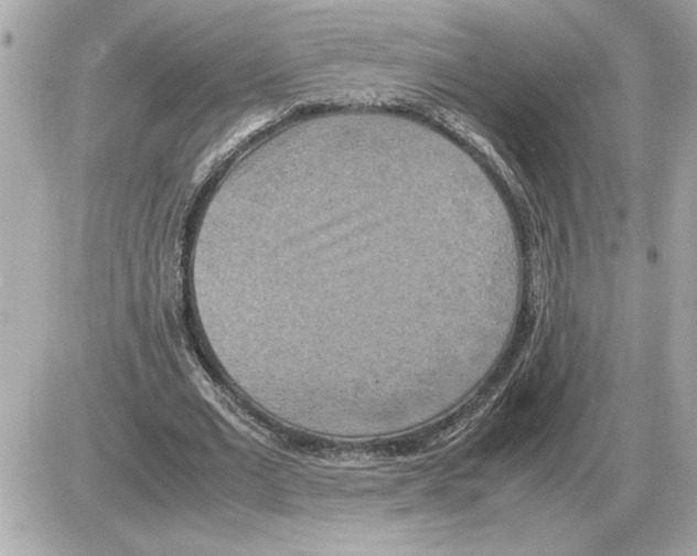 X0000085270677200704092141