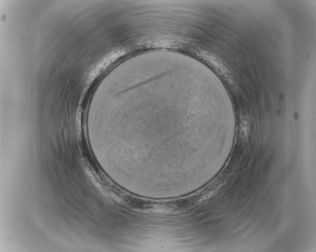 X0000085270678200704092141