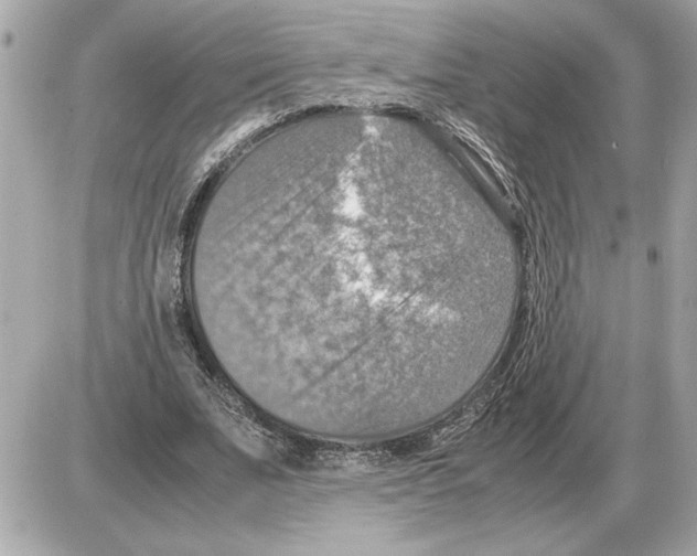 X0000085270679200704092140