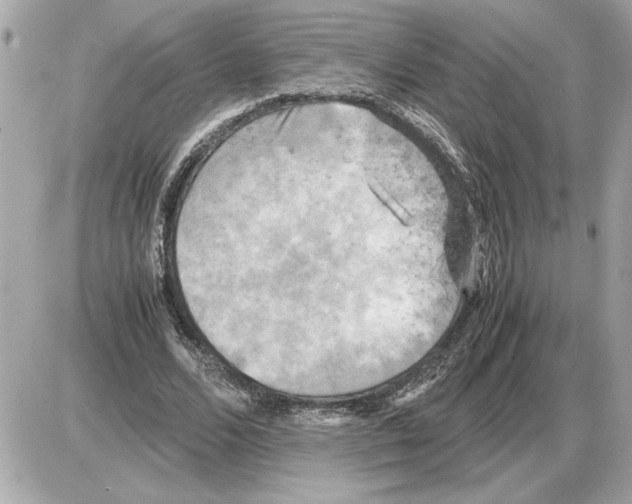 X0000085270680200704092140