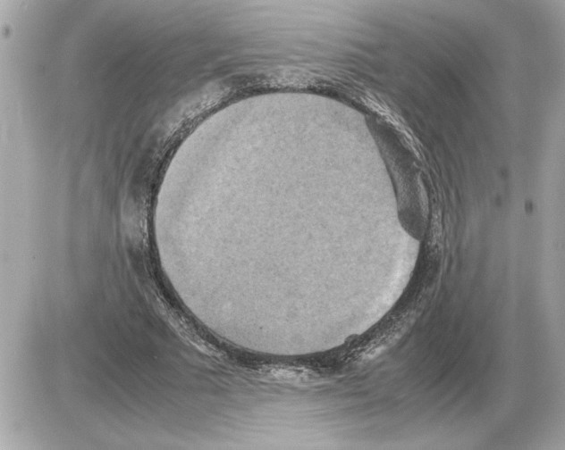 X0000085270681200704092140