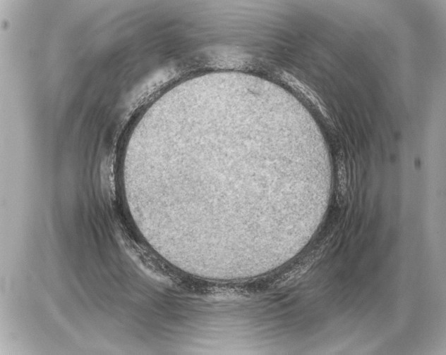 X0000085270682200704092140