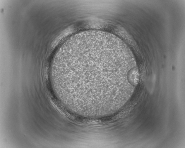 X0000085270683200704092140