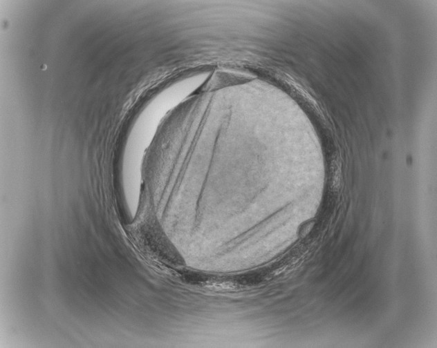 X0000085270685200704092140