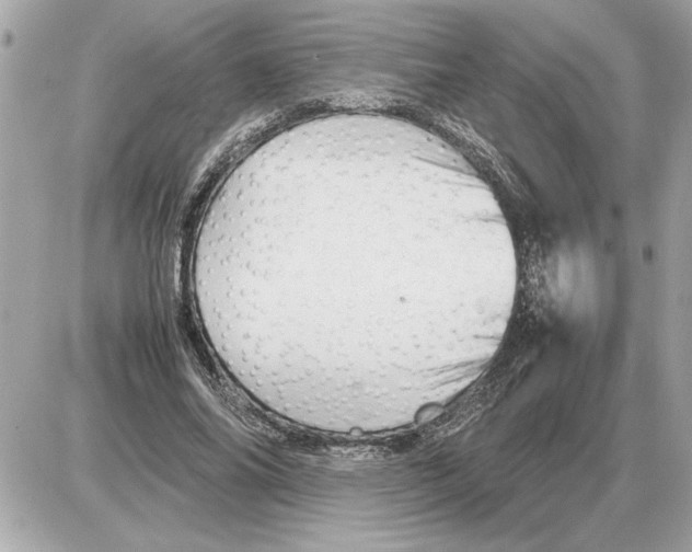 X0000085270686200704092140