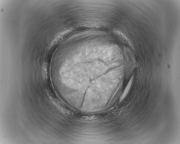 X0000085270688200704092140