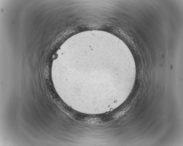 X0000085270689200704092140